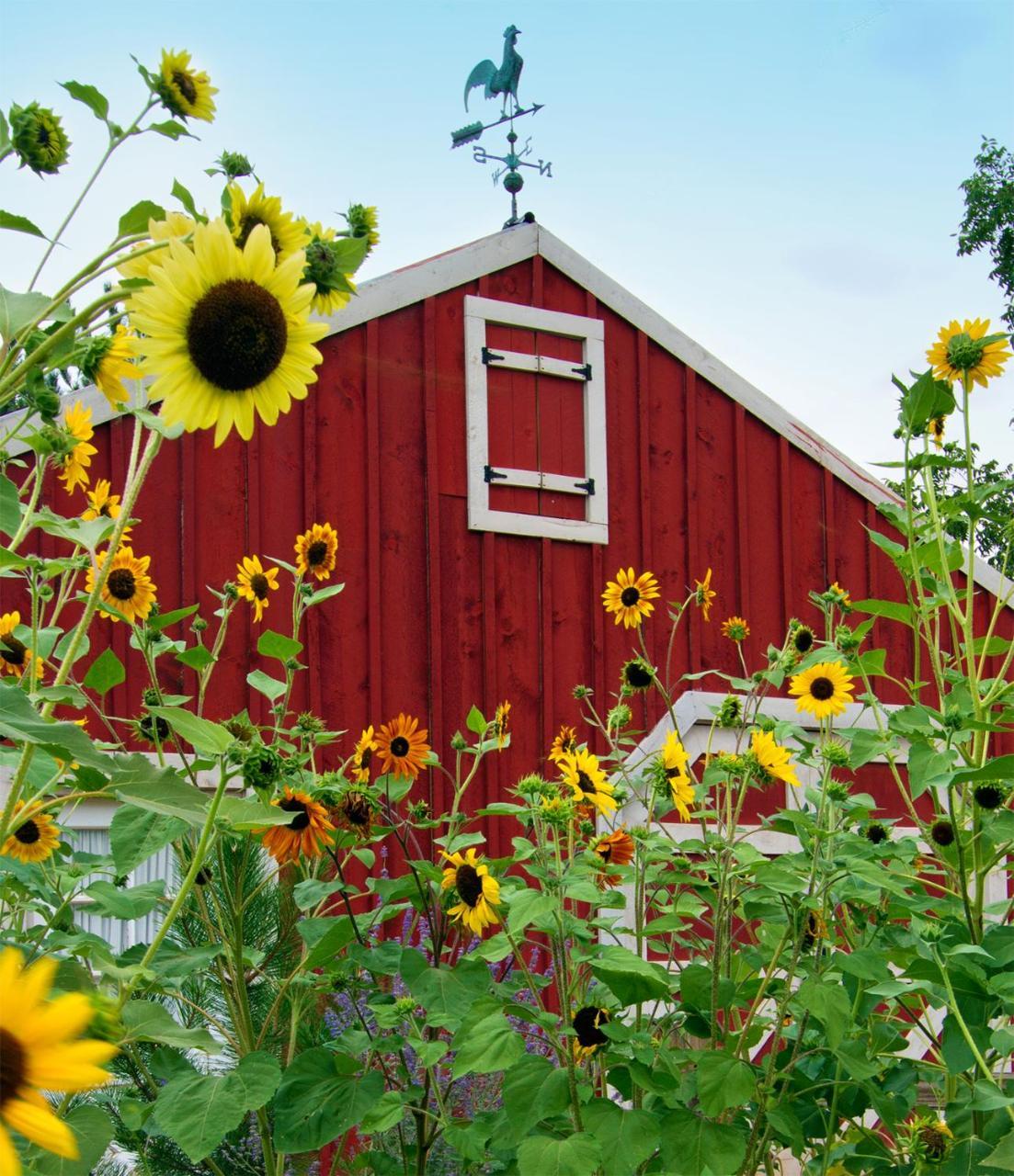 Sunflower Hill Inn Moab Zewnętrze zdjęcie
